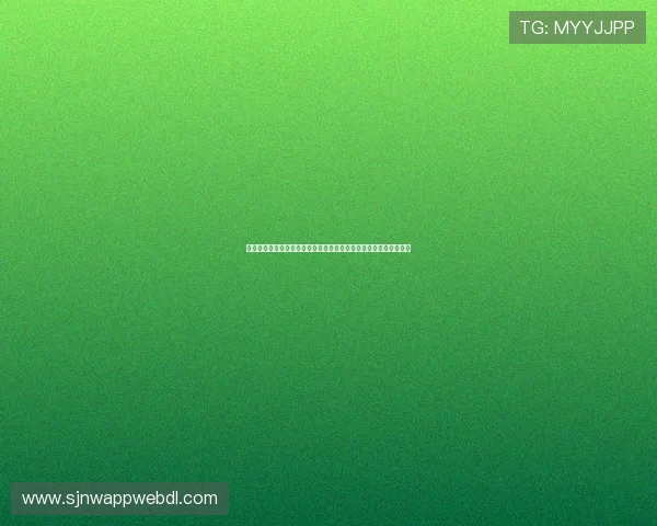 新西兰对阵埃及在世界杯正式比赛中的球员表现与关键数据统计分析